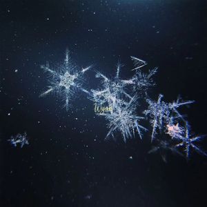 韩国人的一区二区黄带片子
